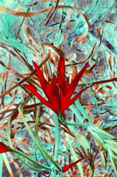 F 039A
